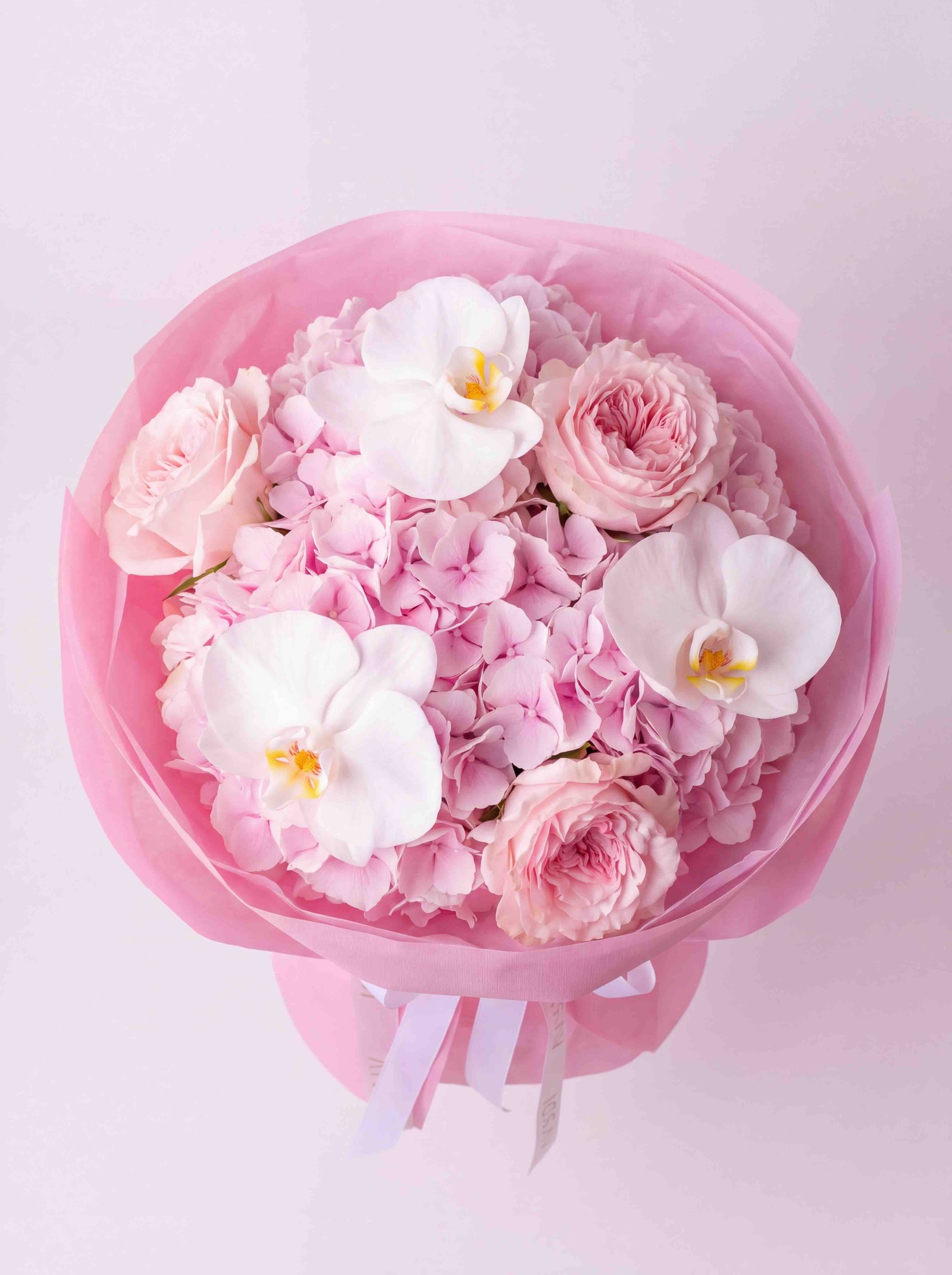Rosé Princess - Bild 2